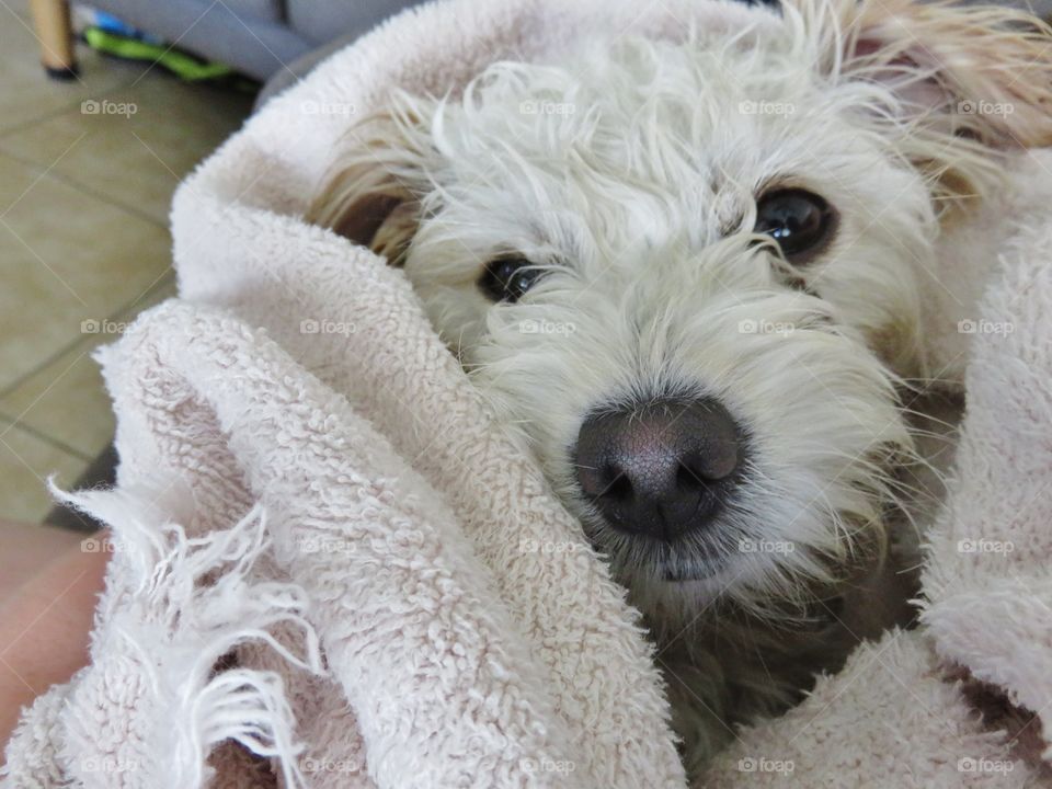 After the Bath