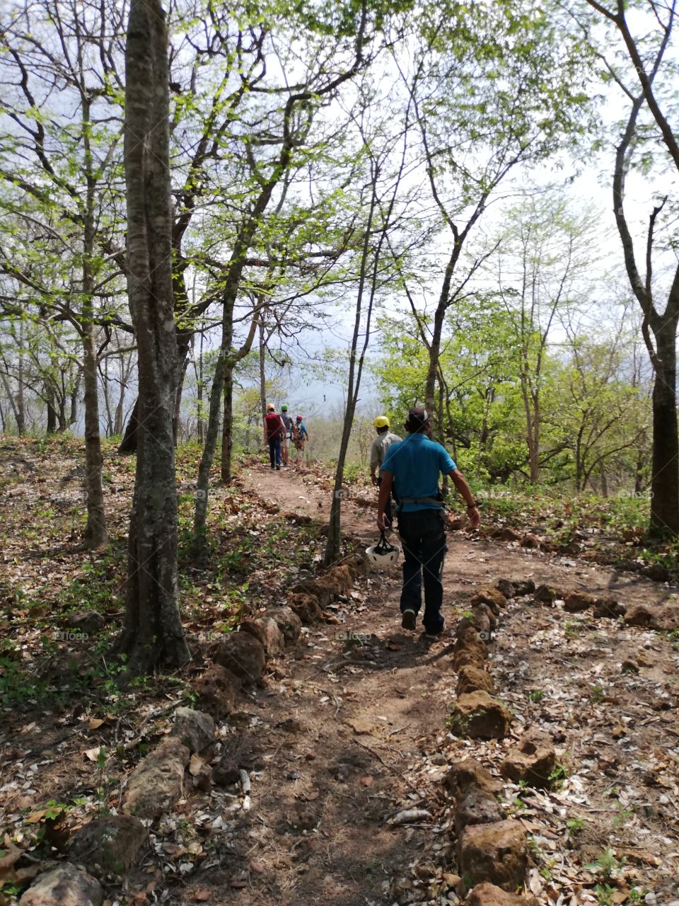 On the way to do the canopy