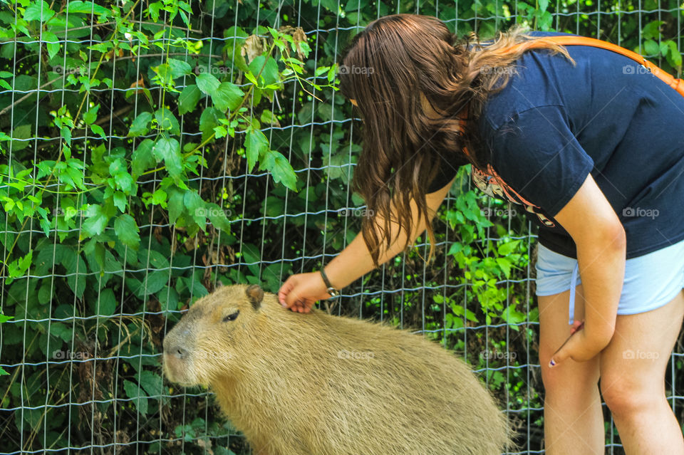 Probably the main reason for our summer visit to Kelowna was to visit the Kangaroo farm. My daughter shown here has had a fascination with Capybaras since she was little. It was a dream come true to see them in person & get to pet them. ❤️