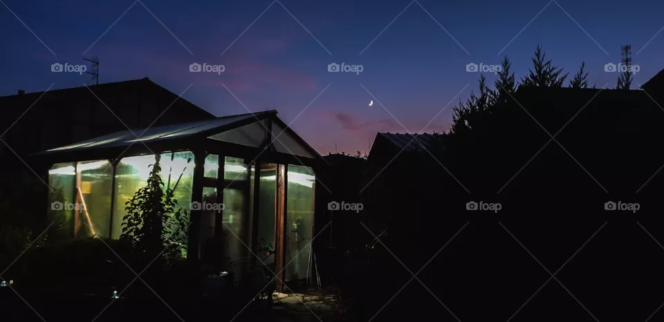 moon