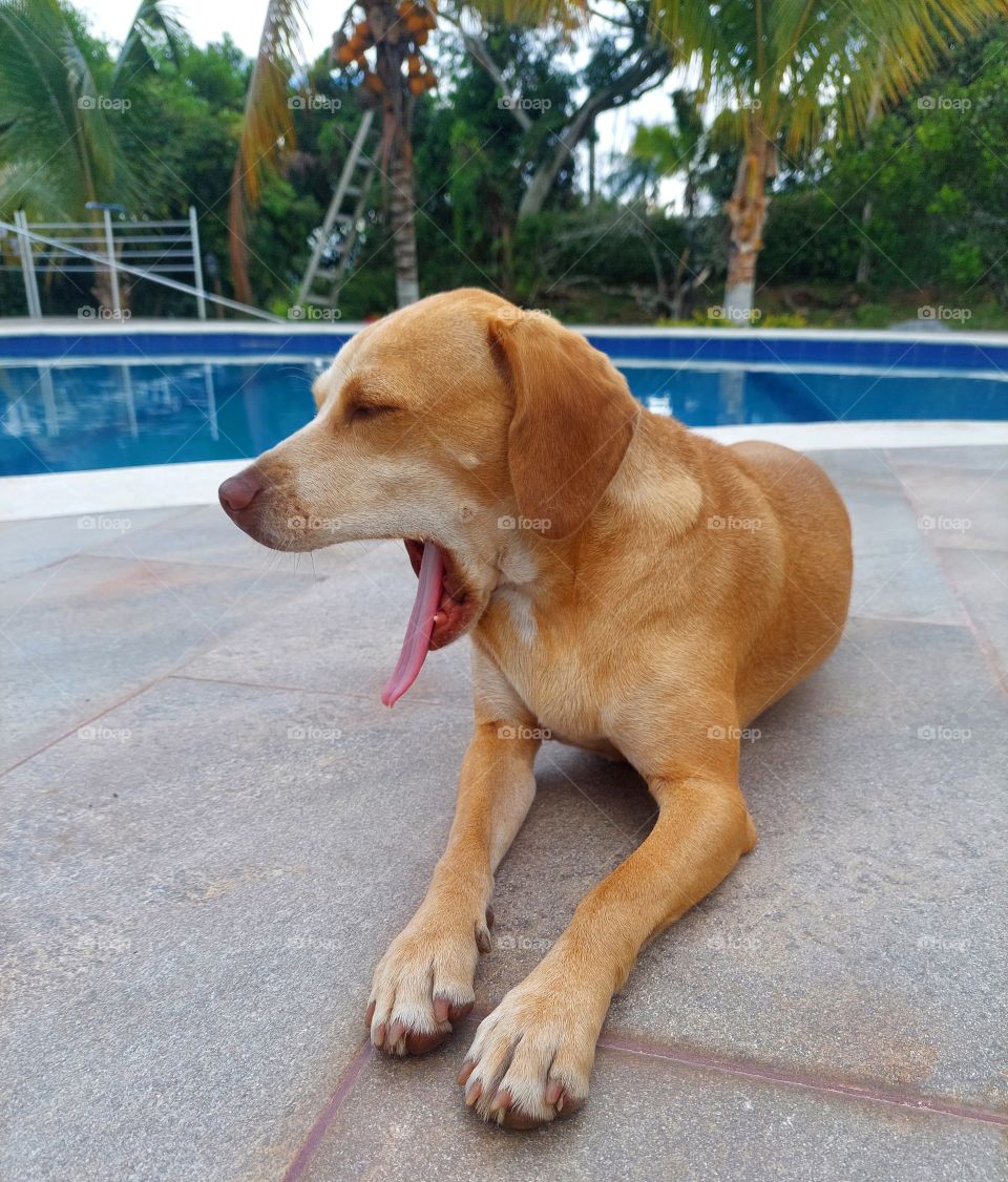 lupita after a deep sleep