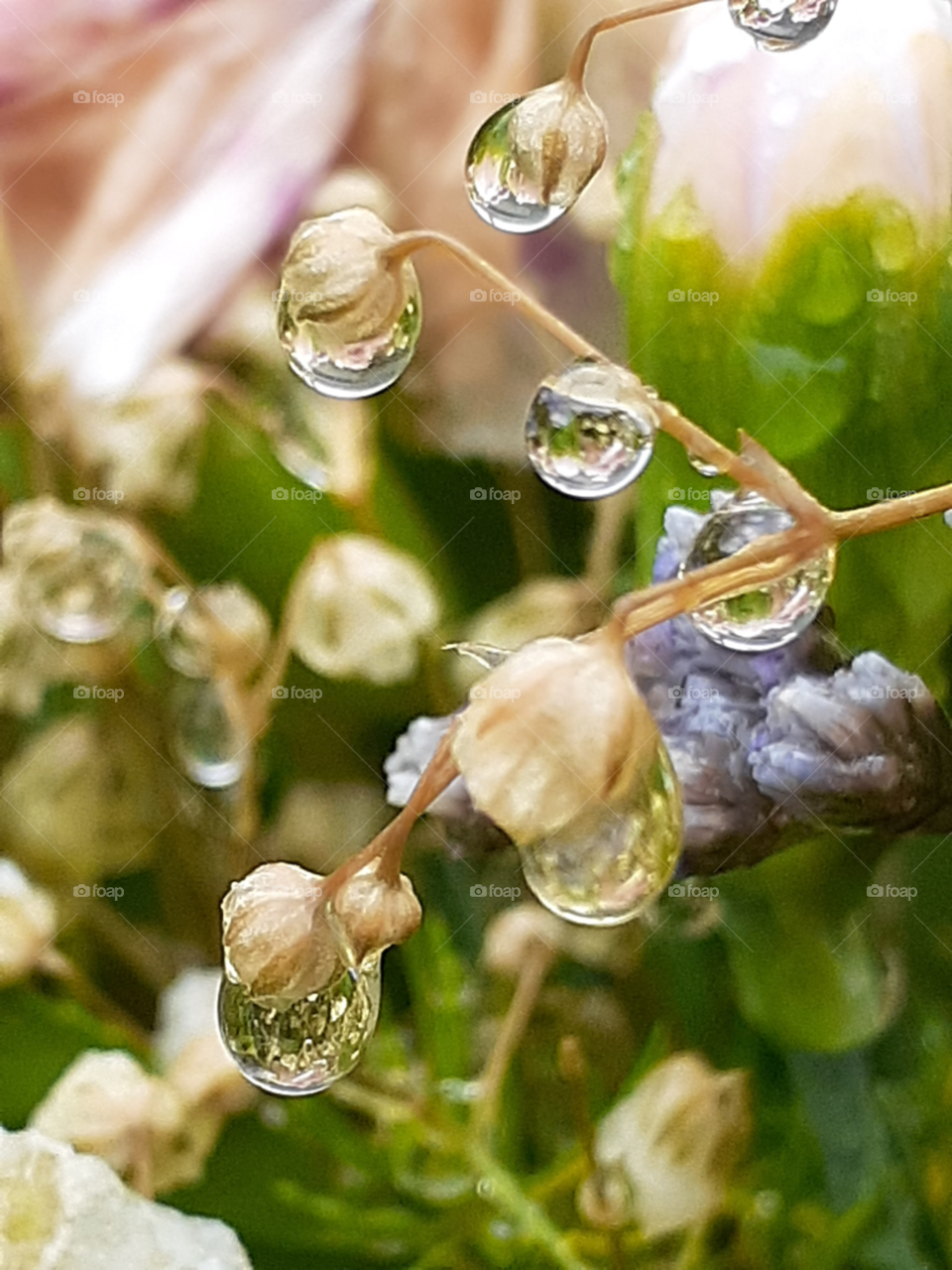 rainy days rain drops