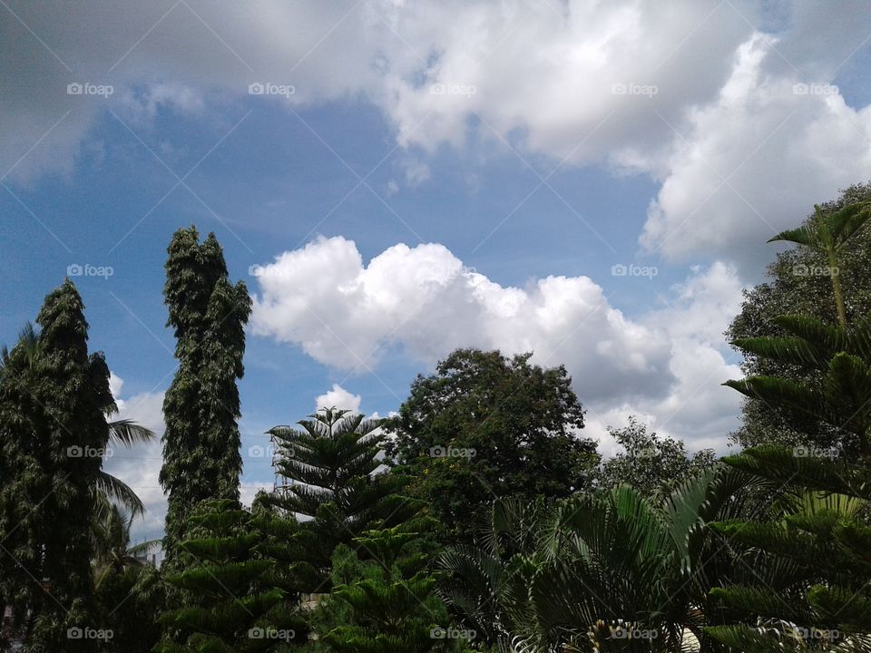 BBB. Afternoon on the sky nature lovely and friendly.. atmosphere..with Green, White, and Blue. combination look like fantastic view .