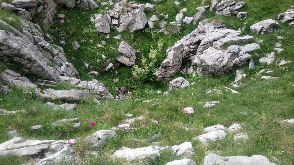 Looking down from the narrow hiking trail