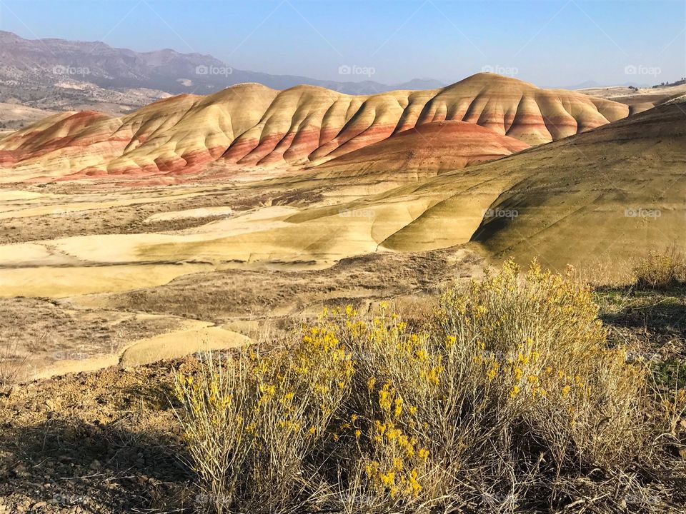 Late afternoon, autumn sun over the Painted Hills. The Painted Hills are one of Oregon’s Seven Natural Wonders. They are located in the John Day Fossil Beds National Monument near Mitchell, Oregon.