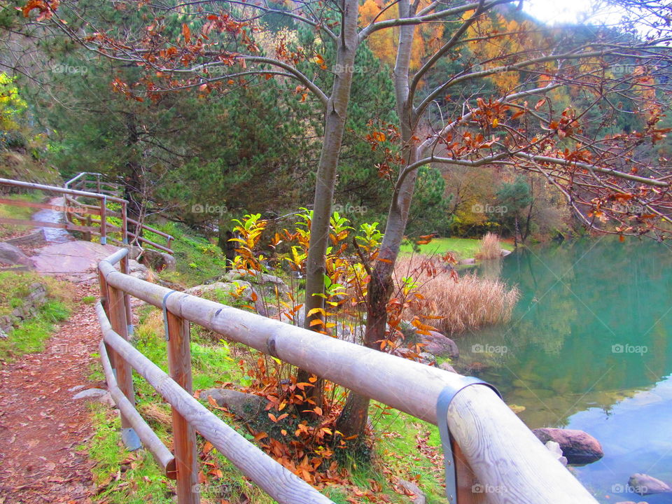 autumn - colours - lake - Trentino - forest