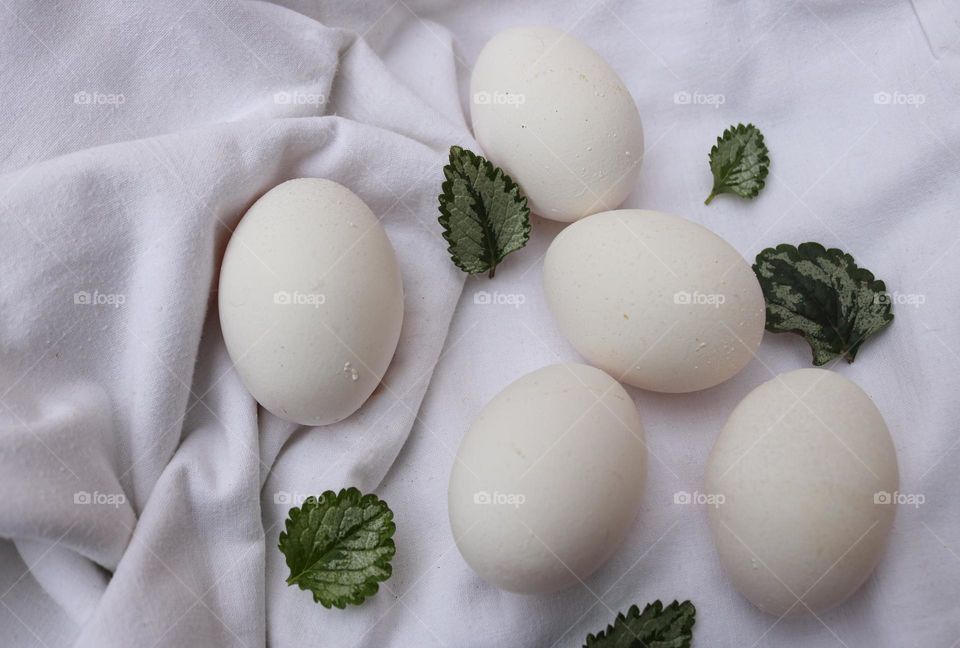 White eggs