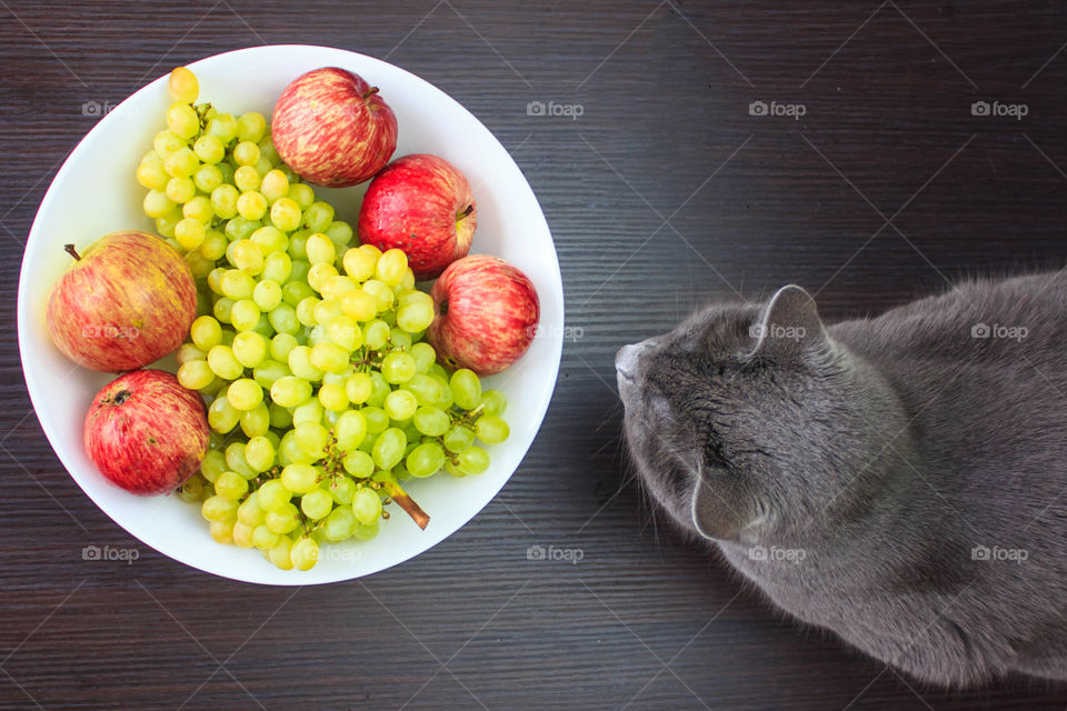 cay with fruits