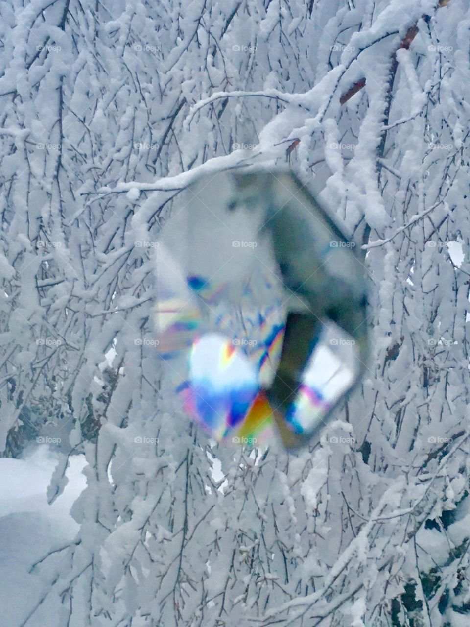 Fresh snow through crystal 