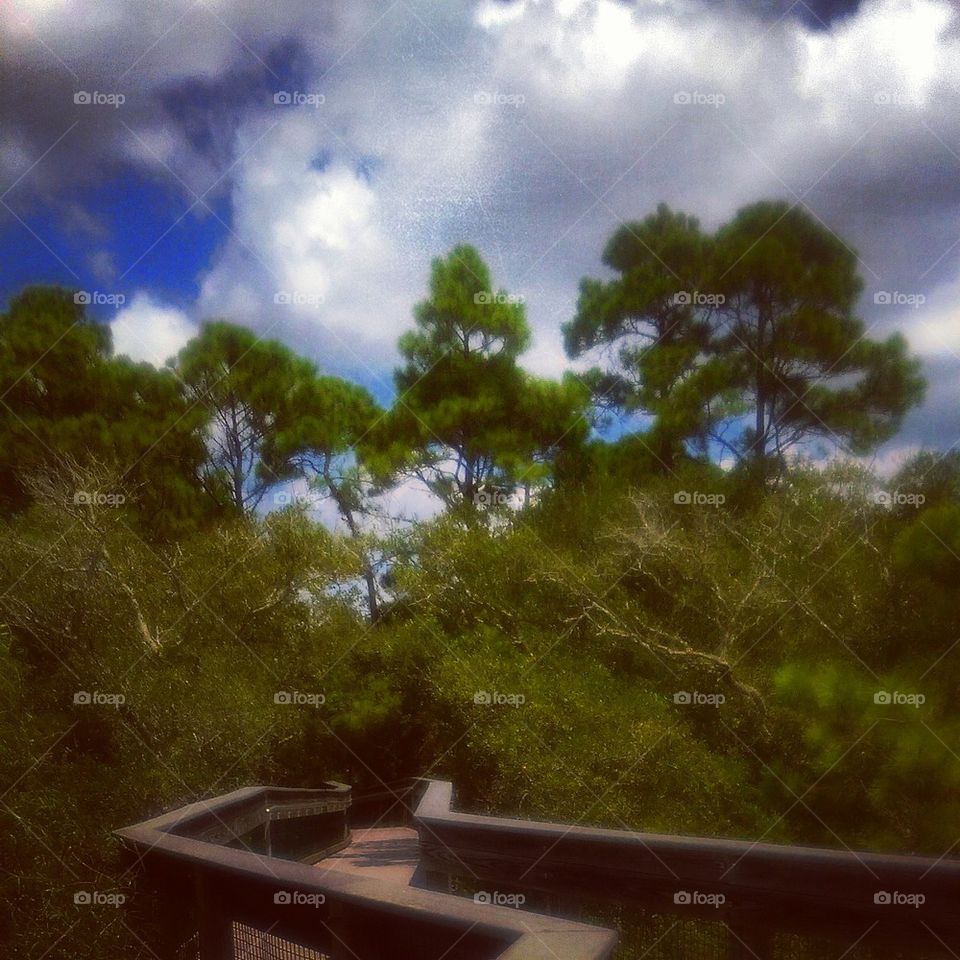 Boardwalk to the Beach 