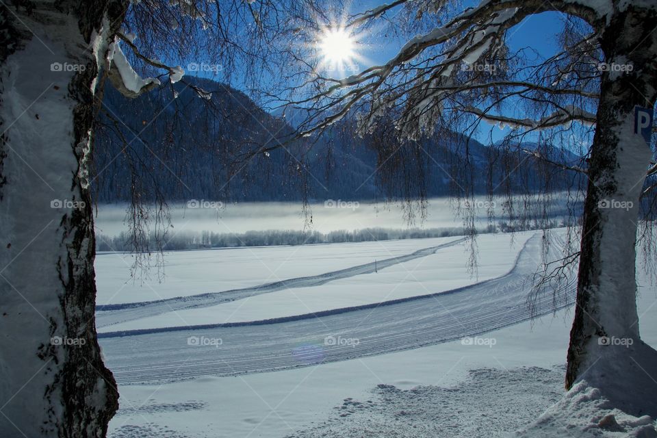 Sunny Winter Day