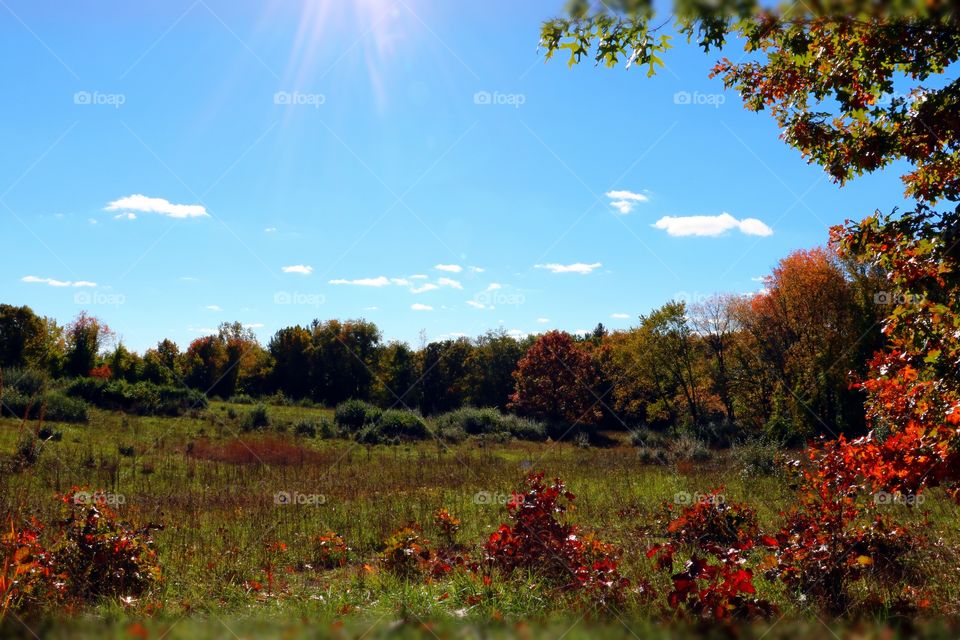 Picture perfect photo of pure Michigan