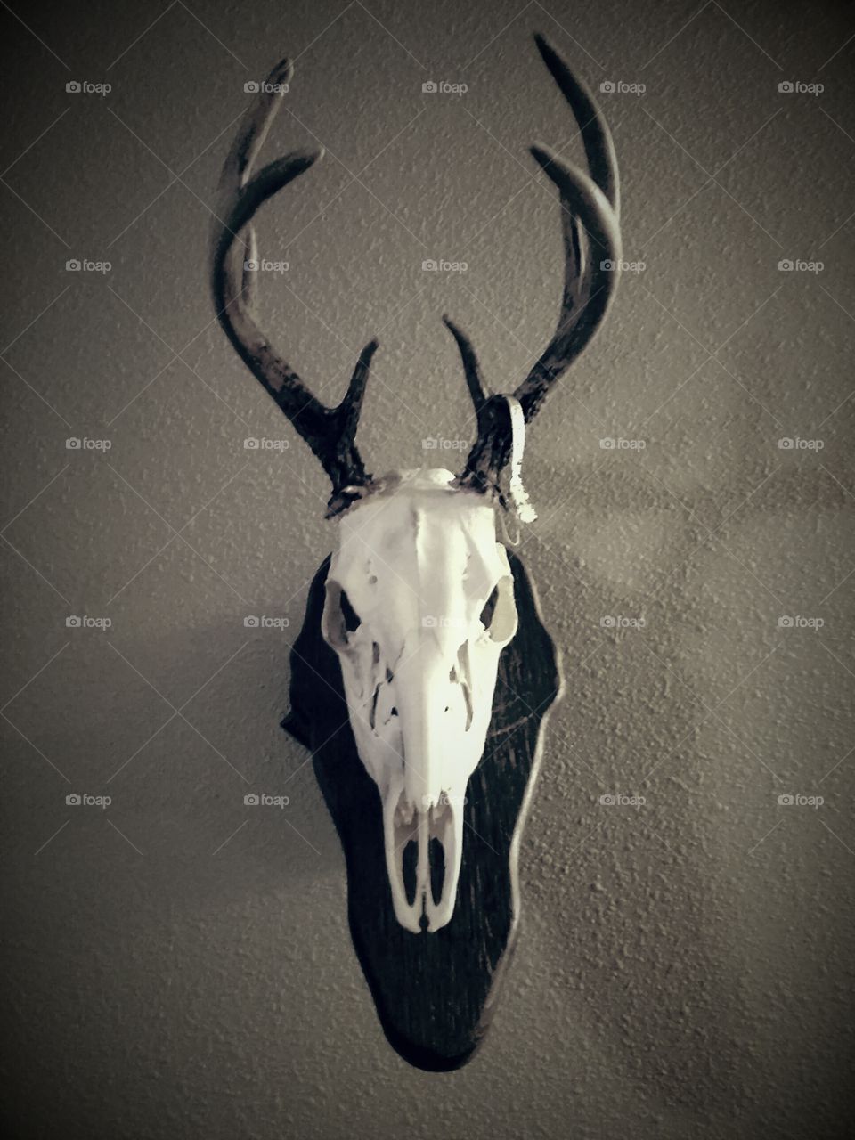 Deer Mount