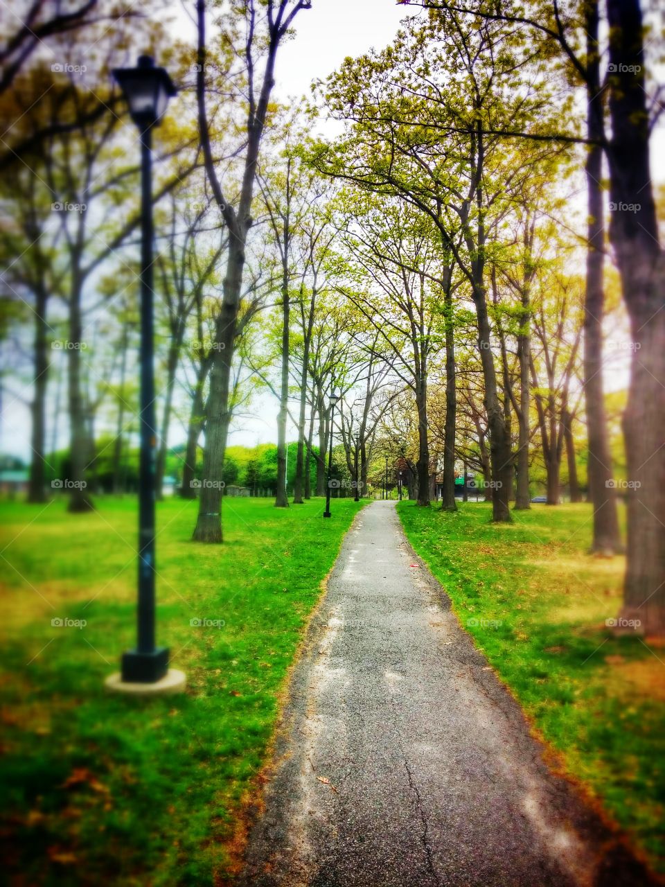 A Walk The Park. Deering Oaks
