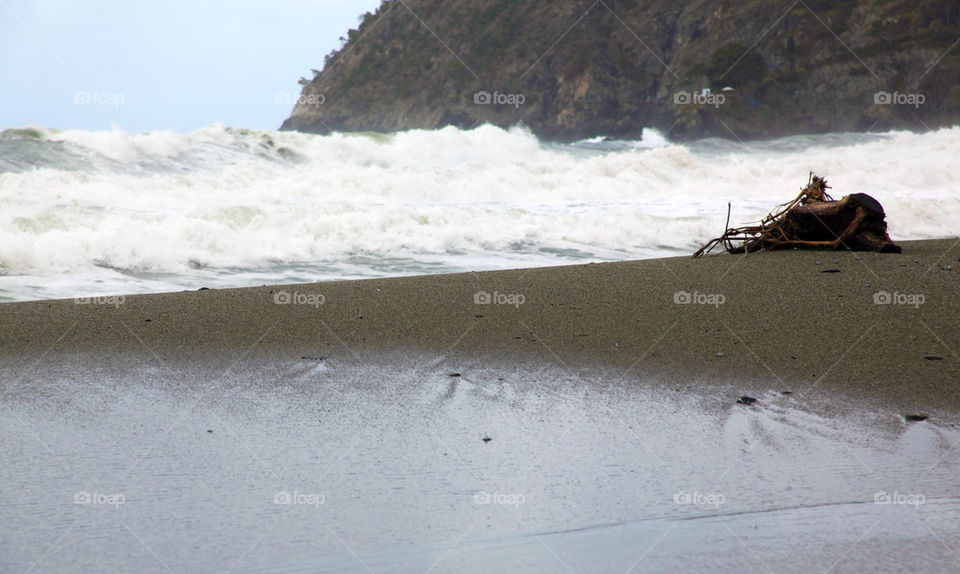 winter beach ocean water by adrianocastelli