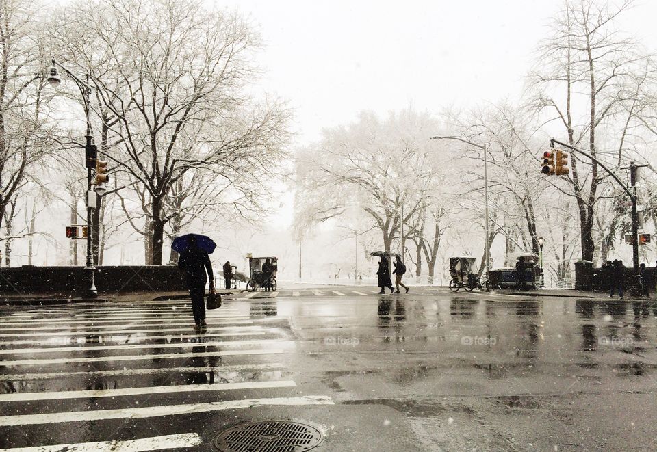 Snowy street scene in Central Park