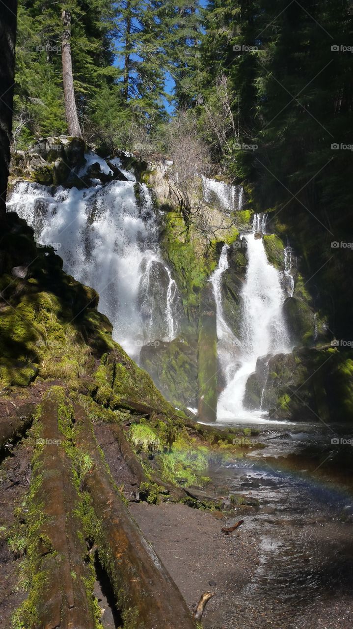 national creek falls, Oregon. beautiful