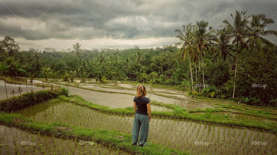 Lonely woman in a ricefield, Bali, Indonesia