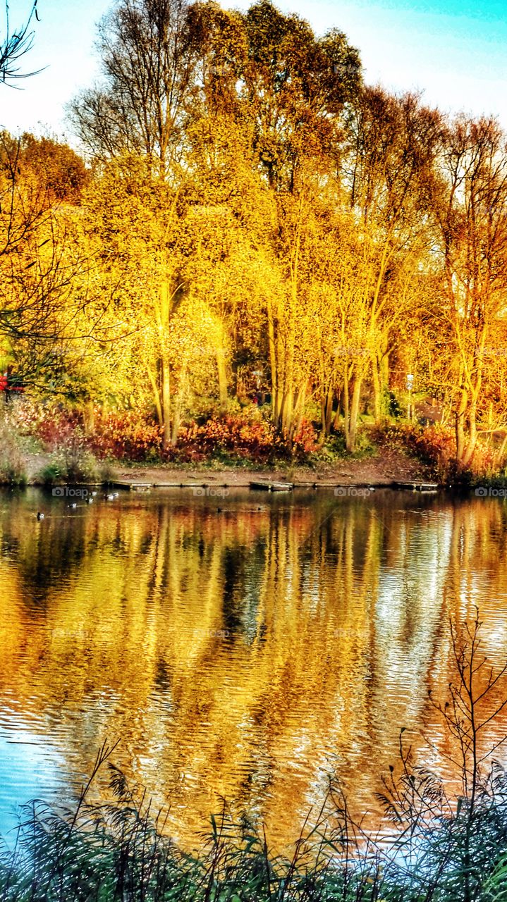 Lake. Nature reserve 