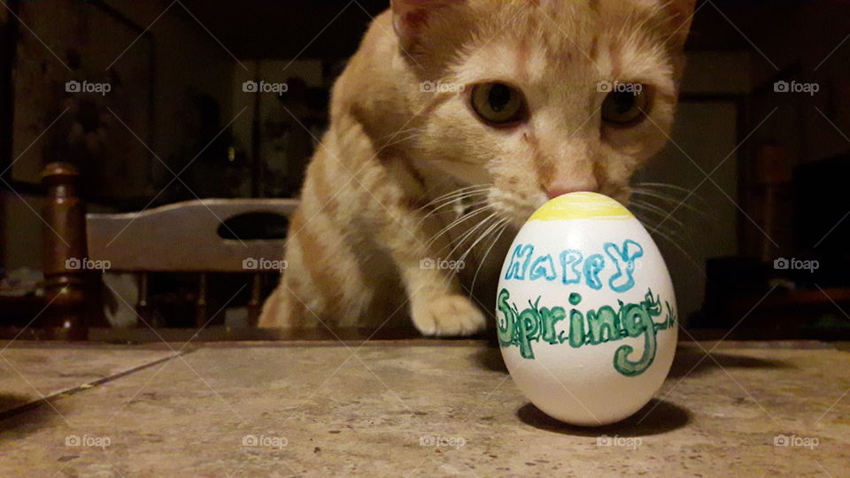 Happy Spring Equinox