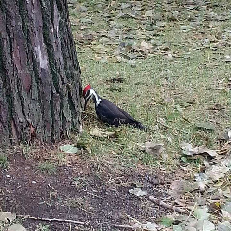 Let me get close To him!g;-)