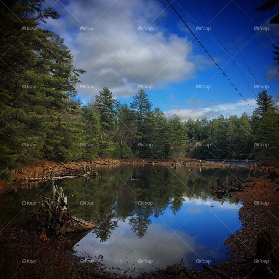 Lake, Reflection, Landscape, Tree, Water