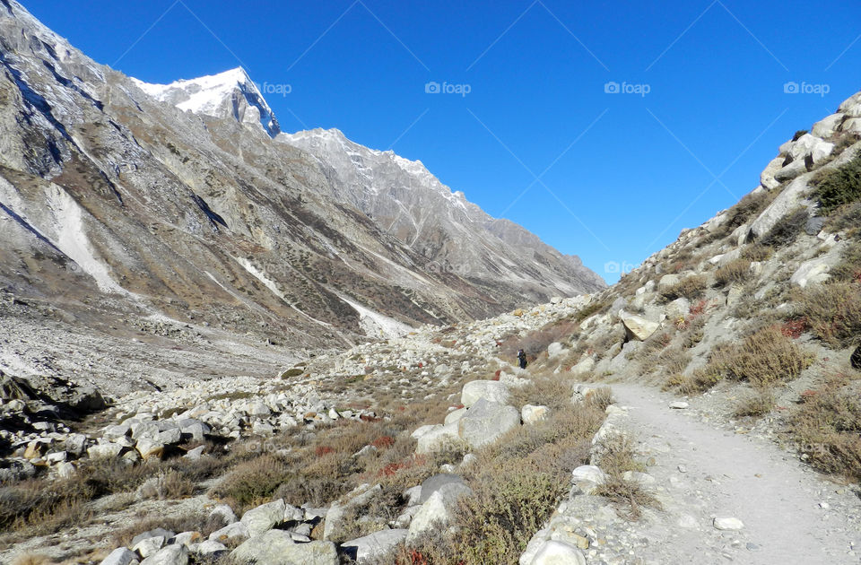 Gangotri National Park