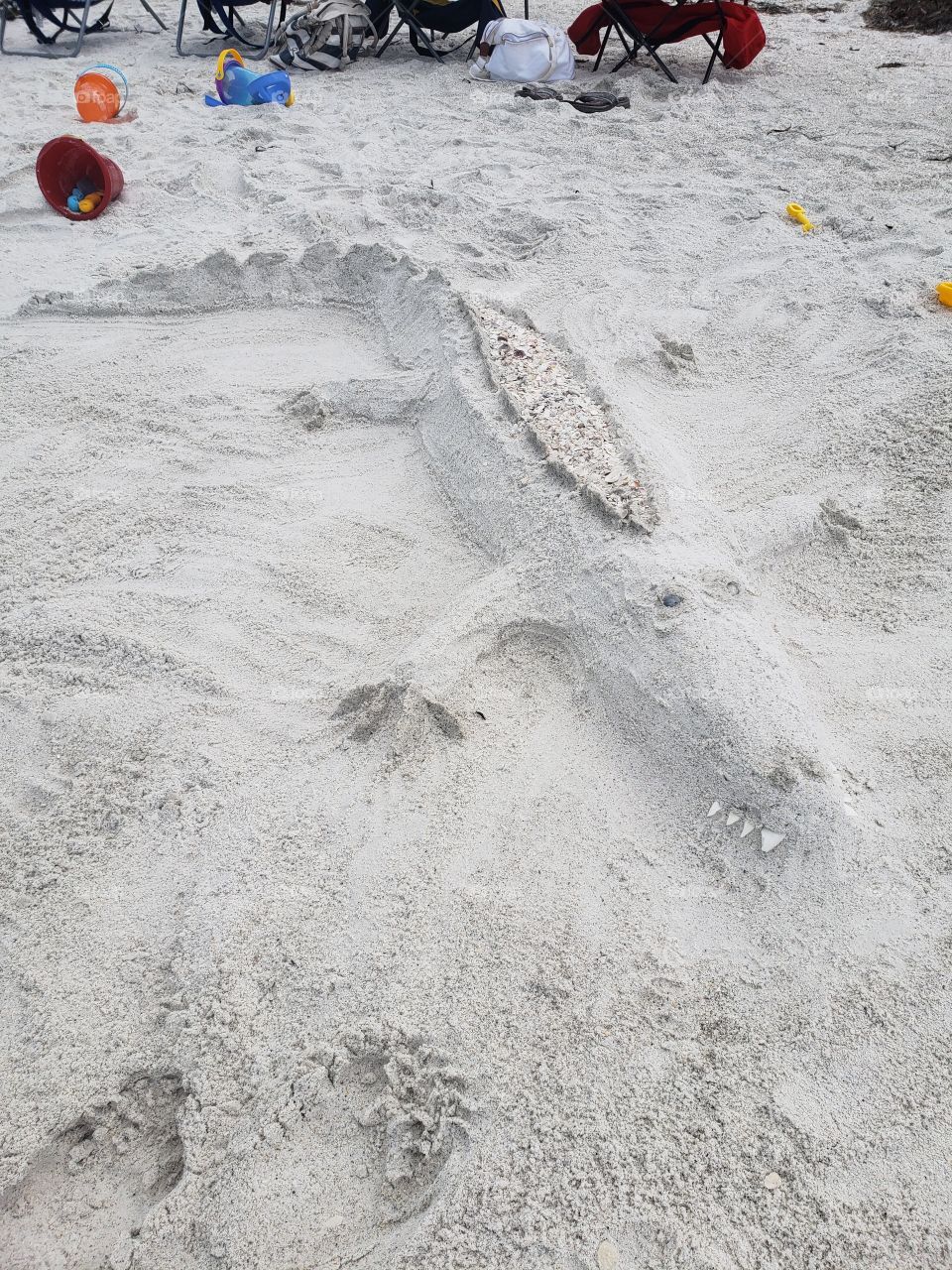 sand alligator