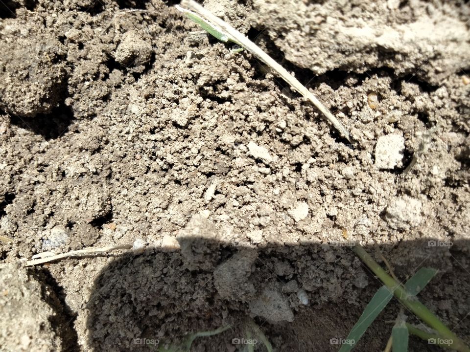 soil