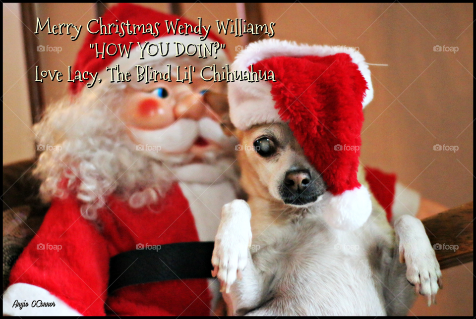 Christmas card for Wendy Williams