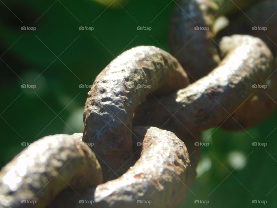 Rusted Chain Links