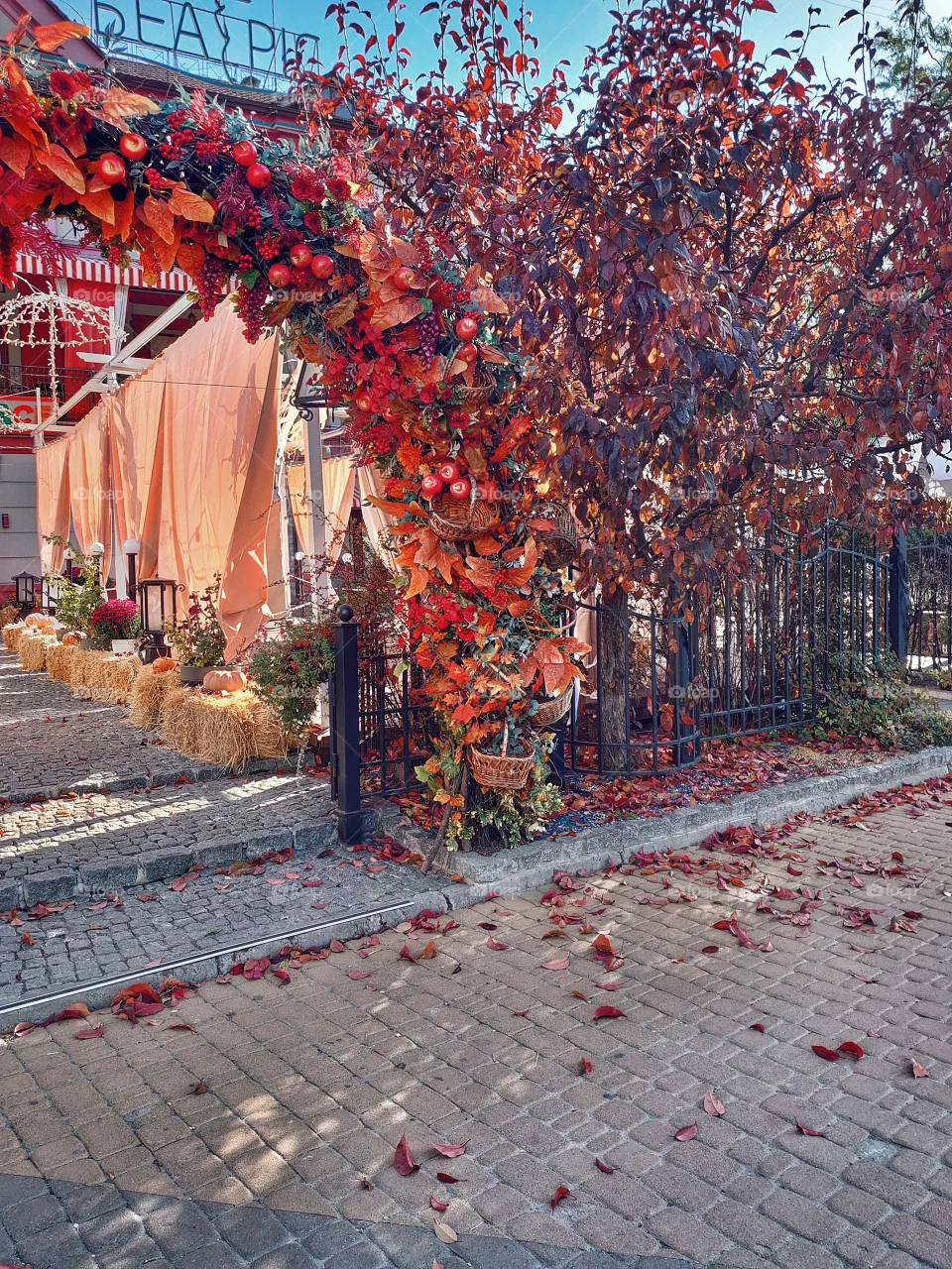 autumn scenery of restaurants in the city