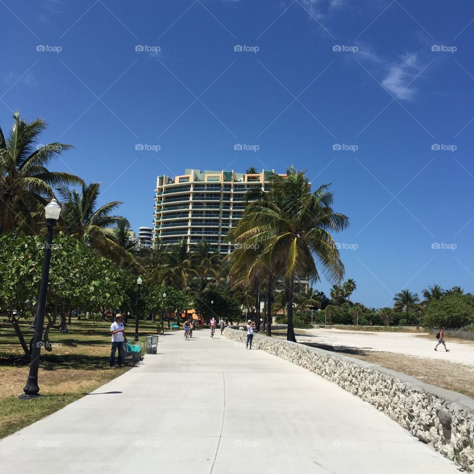 Ocean drive. Miami Beach Ocean Drive