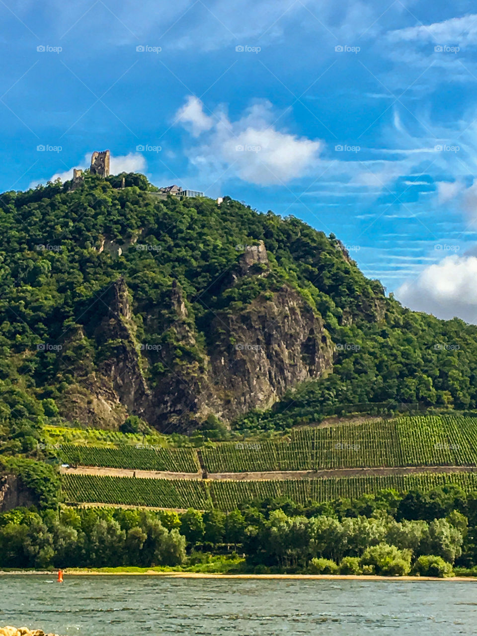 Drachenfels rhine Landscape Koenigswinter Germany 