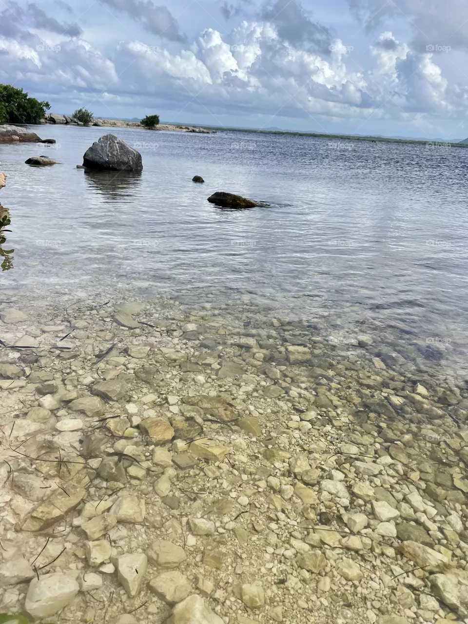Island 