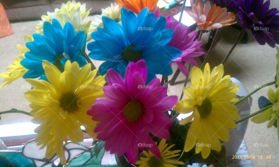 fake colored flowers. they just look fake
