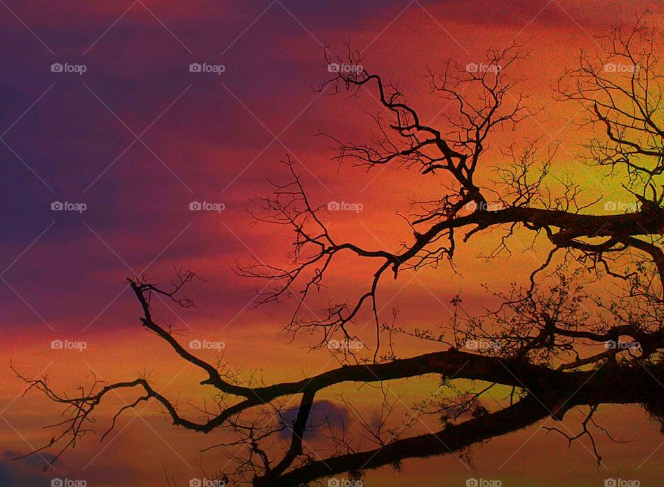 Beautiful evening color of the sky