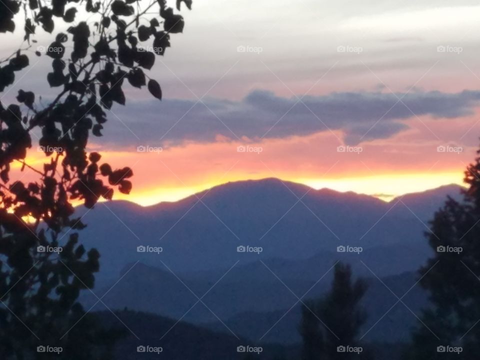 Conifer Colorado Sunset #6