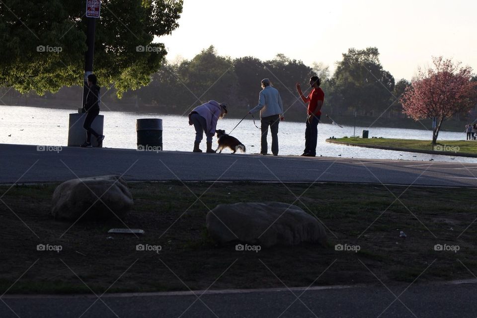 Park Friends