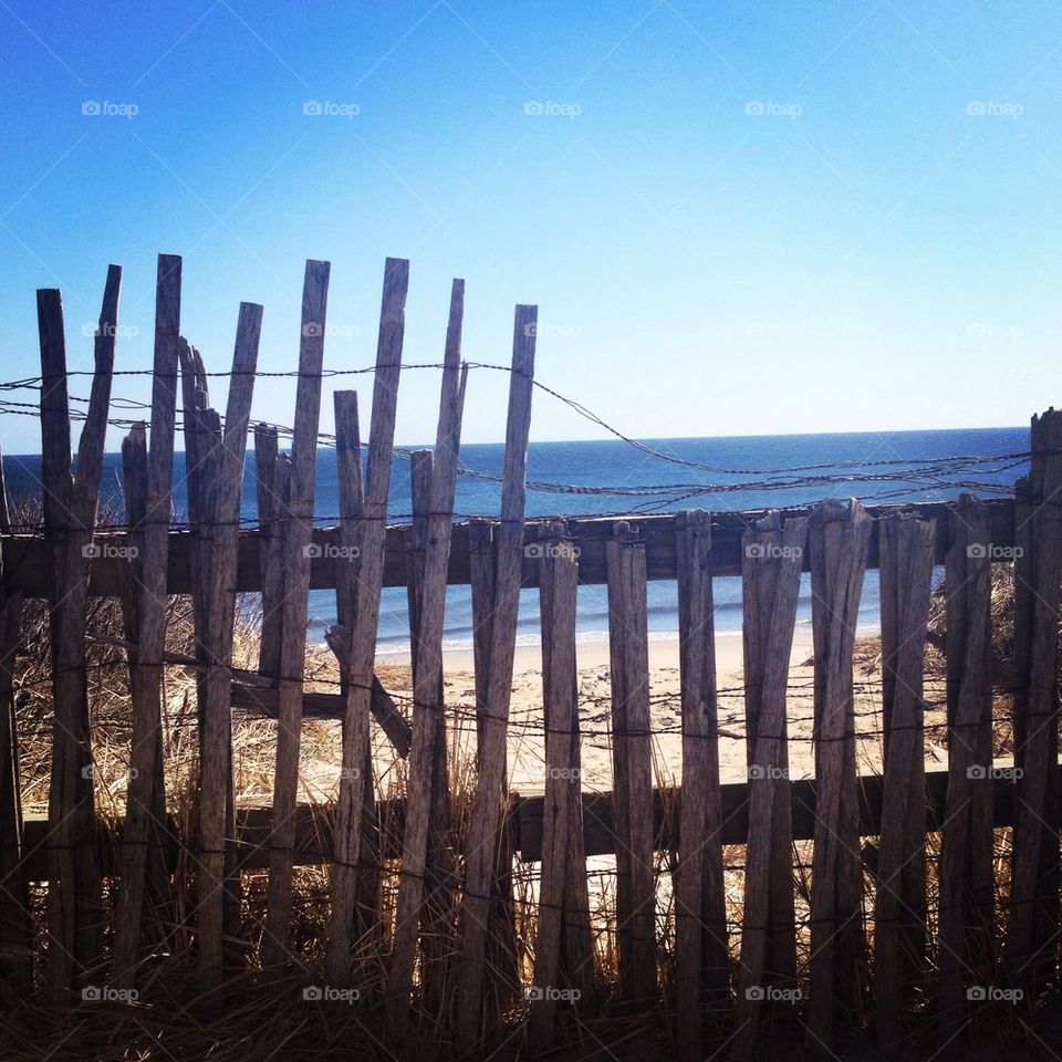Cape Cod Fence