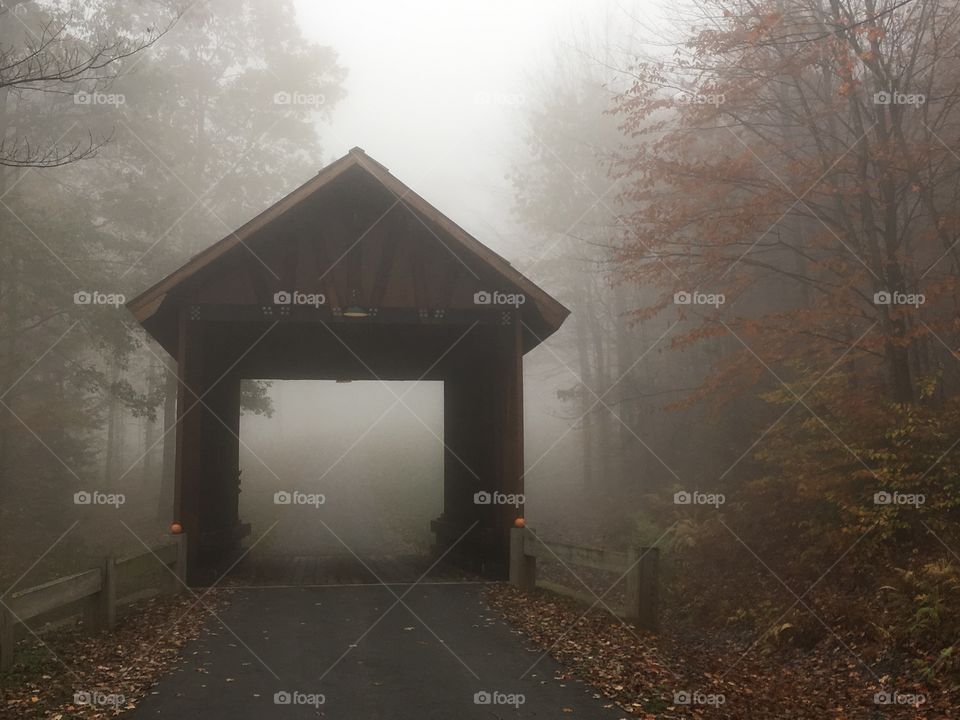 Foggy covered bridge 