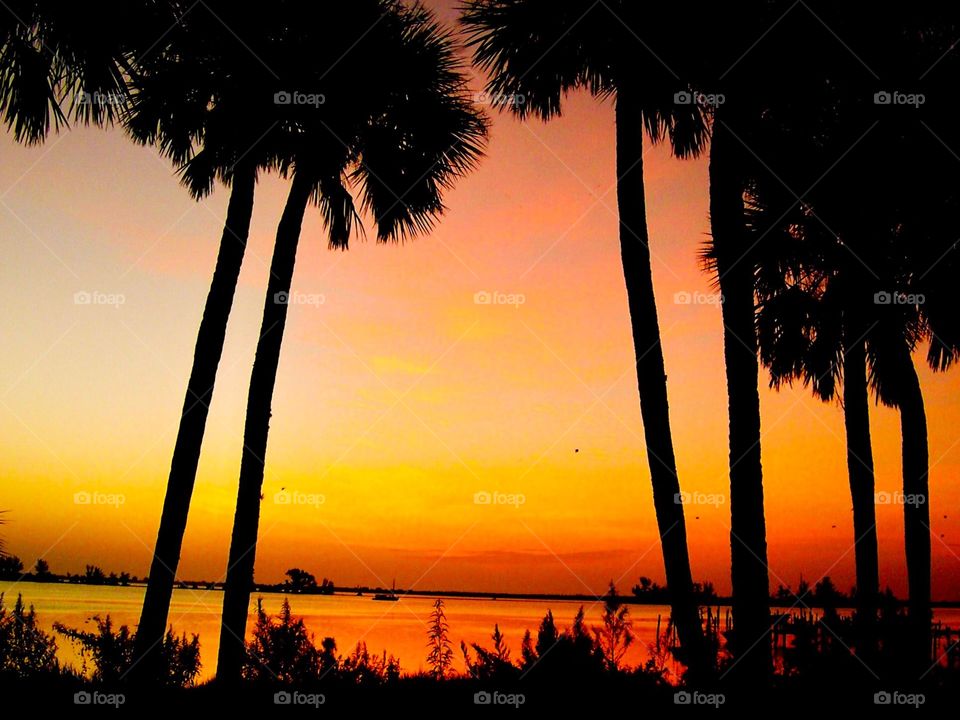 Beautiful Florida view. 