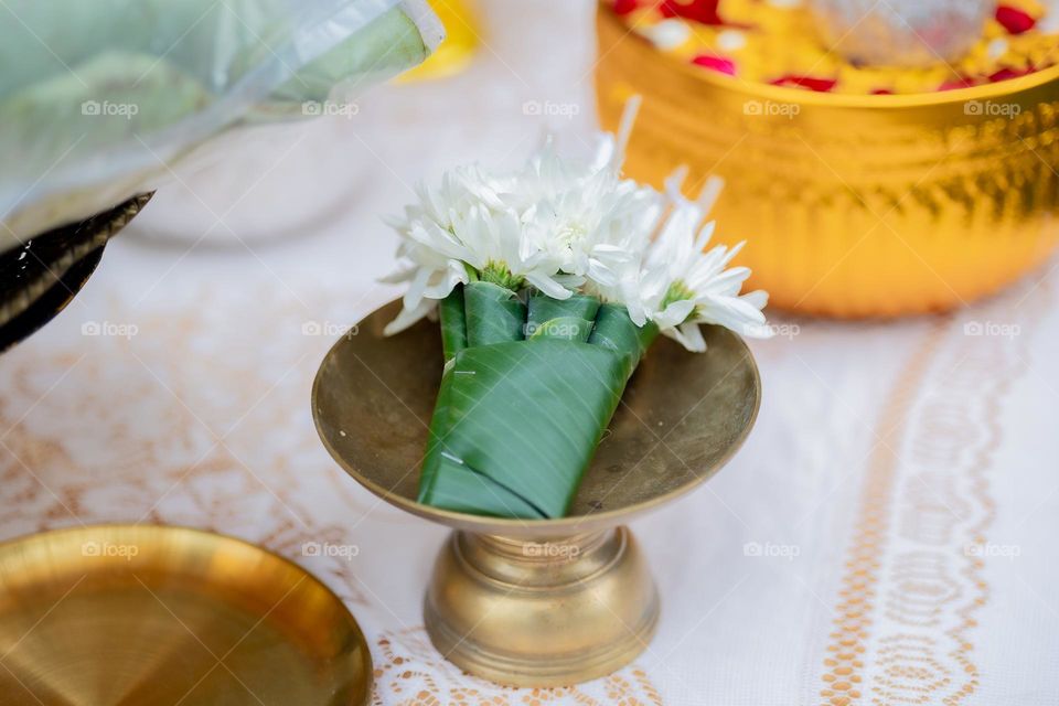 📸Capture the Power of Complementary Colors 