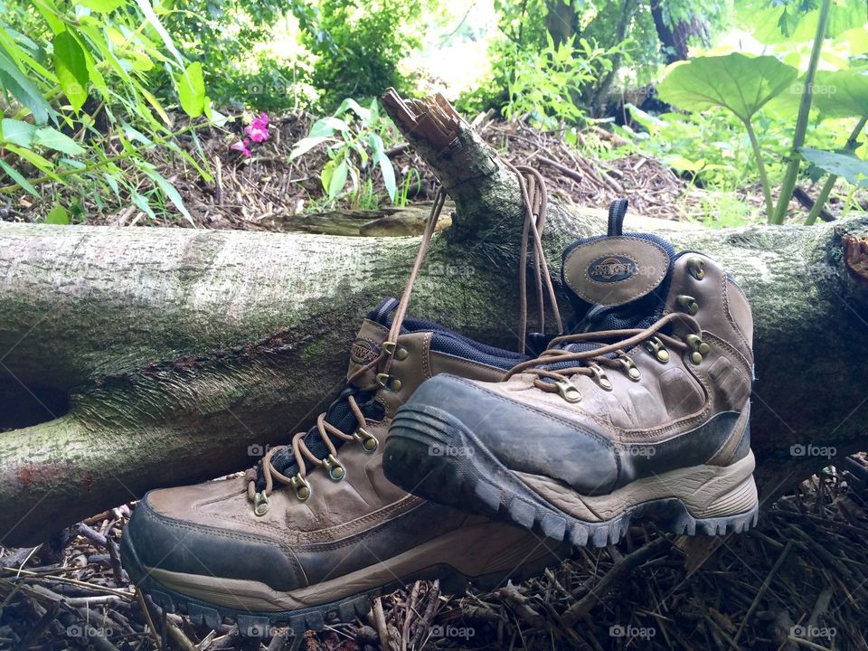 Tired old boots hung up on a tree stump