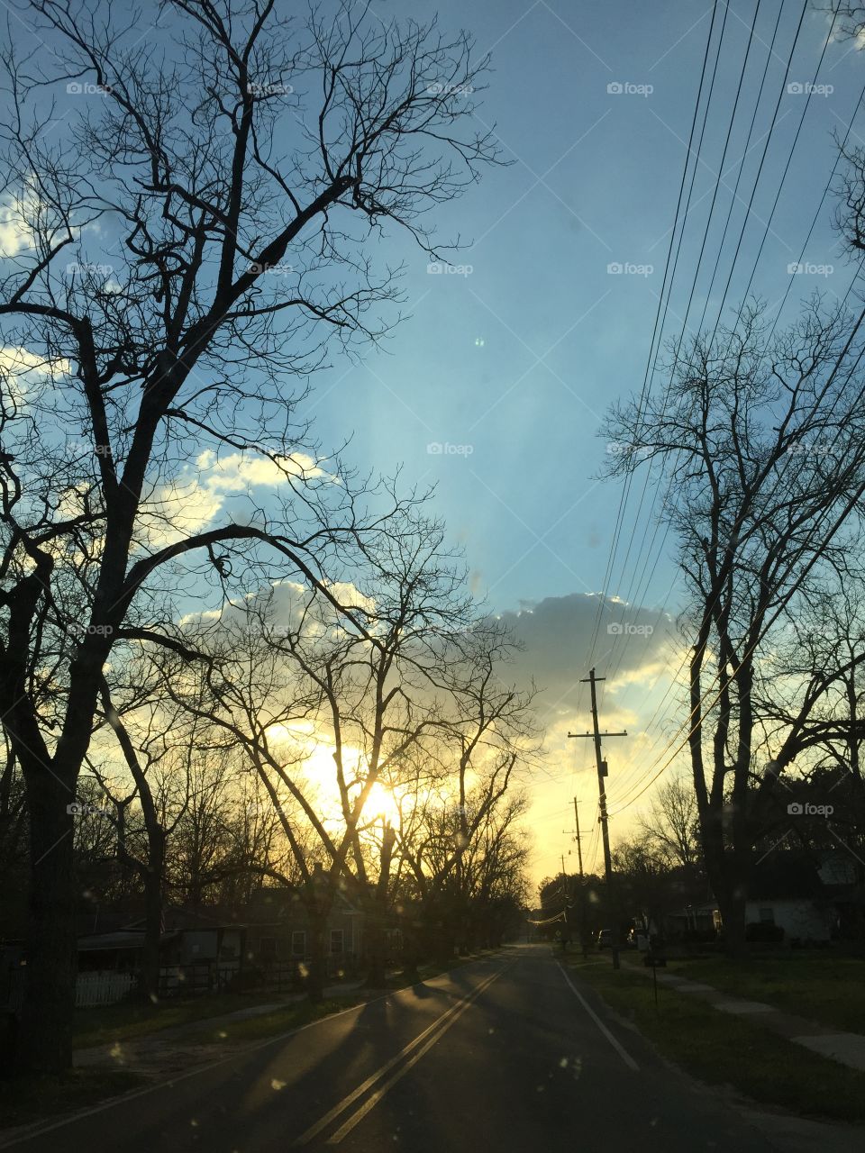 Sun starting to set in southern Georgia with trees framing this photo and the street.