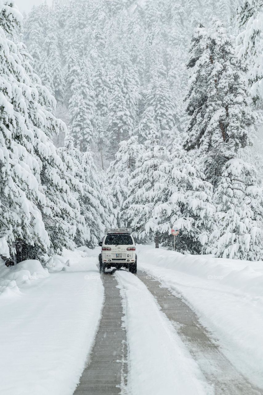 Jounery in the white scene of heavy snow