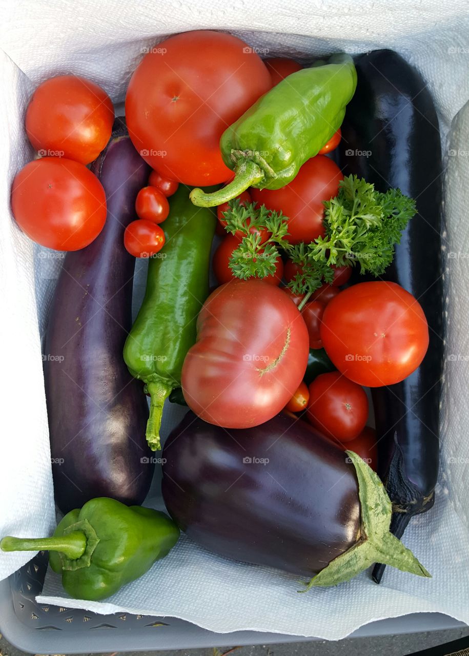 High angle view of vegetables on container
