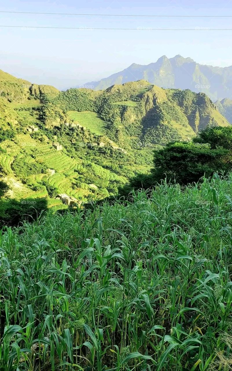 Glory be to God, the magnificent and picturesque view and the natural green trees are a view that is nothing more wonderful than it