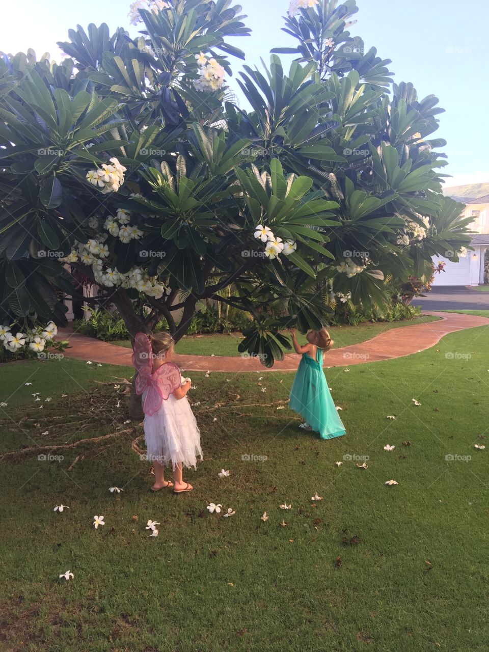 People, Tree, No Person, One, Recreation