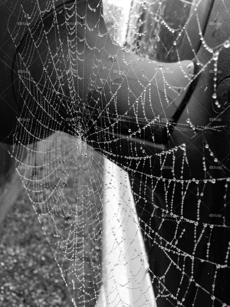 The Web